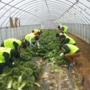 미소하우스1 이미지