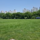 드론공원 이미지