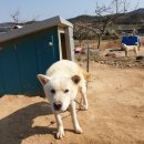 포동이농장 이미지