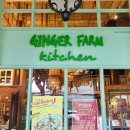 모두팜 | 치앙마이 원님만 진저 팜 키친 솔직후기