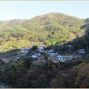 독바위로 이미지