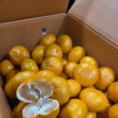 고랑몰랑 이미지