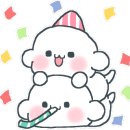 푸바오애견 이미지