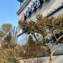 투썸플레이스신탄진대청호점