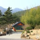 함안 방어산 마애약사여래삼존입상 이미지