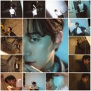 NEW 반려동물을 위한 수제간식&아로마제품 제작반 | 이준호- 2025년 8월 활동 모음🐧