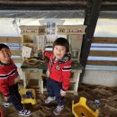 초롱목장 이미지