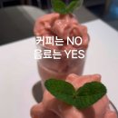 마일드모디쉬클럽