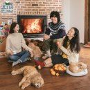 제주 애월 편집샵 소길별하 : 예약 후기 / 제주 서쪽 가볼 만한 곳