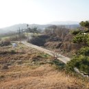 봉등산농장 Daum카페