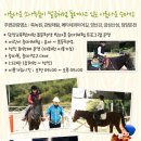 금성승마장