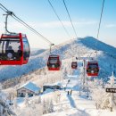 [덕유산 신청] 겨울산행의 일번지 무주 덕유산 눈꽃소풍! 2025년 12월 21일 일요일! 이미지