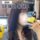 동대구 | 대구 동구 미용실 SF헤어 동대구 염색 솔직후기