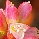 쪽빛하늘로 이미지