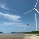 해변 태양광발전소 이미지