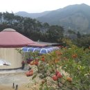 숲속 게르 하우스 이미지