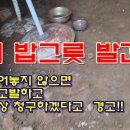 들개 밥그릇 목격하고 강력 경고!! 이미지