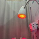 일곡한방병원 이미지