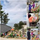 민카센타 이미지