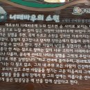 로따야
