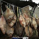 심곡항구 이미지