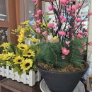 군문 주공 삼거리 이미지