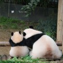 꽁냥꽁냥 이미지