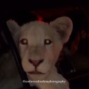 사람과 자동차 이미지