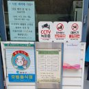 송이 초심정 이미지