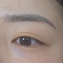 에이스카 | [고양] 정발산역 라페스타 왁싱 에이스 왁싱 눈썹왁싱 후기 임산부 왁싱도 가능한 곳