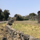 365제주의원 이미지