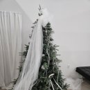 베이스 | 백운동속눈썹펌, 베이스샵 솔직후기와 비포애프터