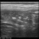 대치수동물병원 이미지