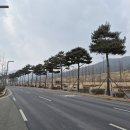도청대로 충청타임즈