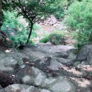 일진민박 이미지
