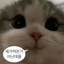 머꼬 또 머꼬 네이버블로그