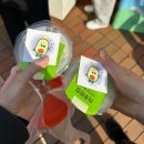 김천시민농약마트 | [김천] 김밥축제 방문 후기 (2025/10/26 방문)