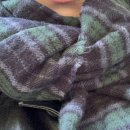 우진동물병원 | 마참내 25년이 끝나갑니다(아직 안끝남)