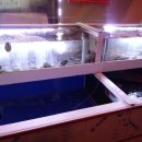 본떼감자탕 이미지