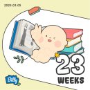 씨유 장기하늘점 | 23주차 임산부 아빠 환갑잔치, 정밀초음파 후기