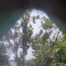 대동고등학교 이미지