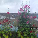 명천사슴농장 이미지