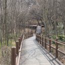 소사벌레포츠타운(인라인스케이트장) 네이버블로그