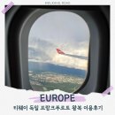 인천인 | 티웨이 TW403 인천-프랑크푸르트 왕복 탑승 후기 기내식 좌석 꿀팁
