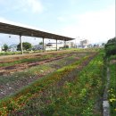 서남대학교 이미지