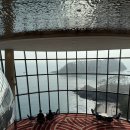 남해목욕탕 | 쏠비치남해 국내겨울여행지 추천 | 온수풀 수영장,씨모어씨,헬스장 이용후기