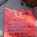 태인농장2 이미지