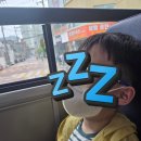 푸른 사자 와니니 뮤지컬 관람 (마포아트센터 1층 B구역 8열 / 구내식당)