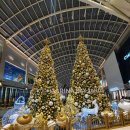 선청 | 크리스마스 트리 대여 가격 업체 선청 꿀팁 3가지