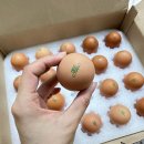 계선농장 이미지